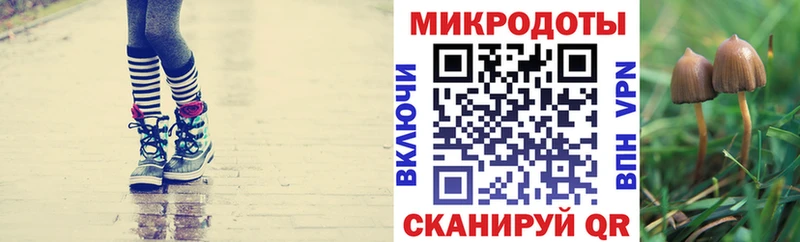 как найти закладки  Калязин  Галлюциногенные грибы Psilocybe 